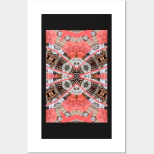 Living Coral Pantone Colour of the Year 2019 pattern decoration with neoclassical architecture Posters and Art